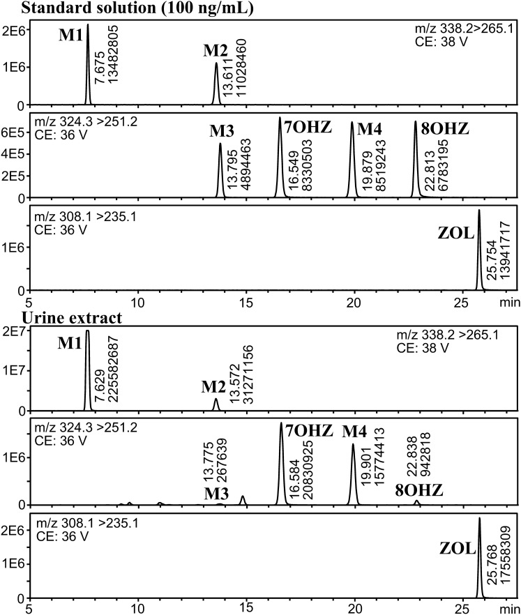 Qualitative analysis of 7- and 8-hydroxyzolpidem and discovery of novel zolpidem metabolites in postmortem urine using liquid chromatography-tandem mass spectrometry.