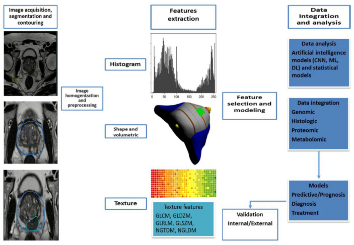 Radiomics in prostate cancer: an up-to-date review.