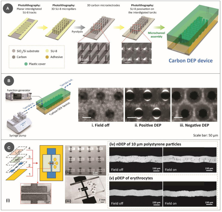 Evaluating carbon-electrode dielectrophoresis under the ASSURED criteria.