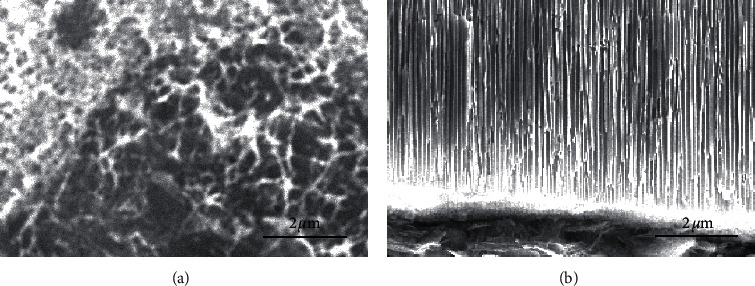 An Electrochemical-Based Point-of-Care Testing Methodology for Uric Acid Measurement.