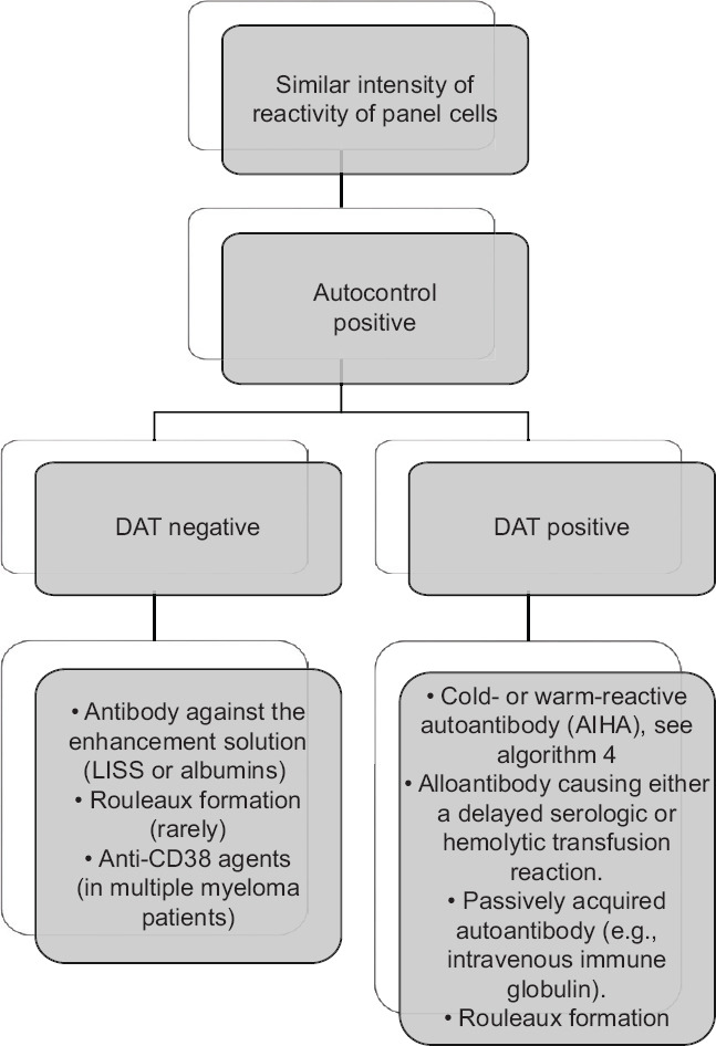 Panagglutination on the indirect antiglobulin test... this is the challenge!