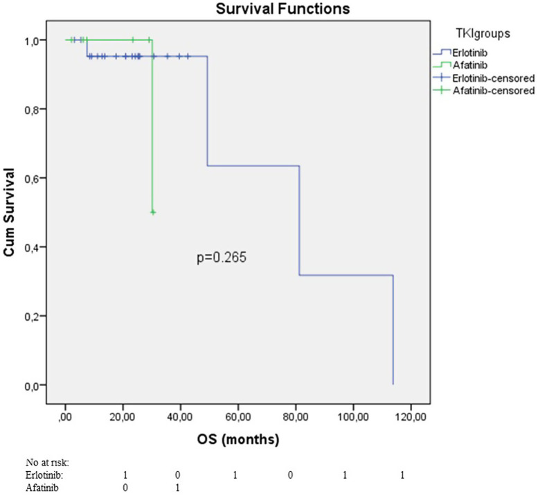 Evaluation of Treatment Efficacy of Tyrosine Kinase Inhibitors in Rare Single EGFR Exon 21 L861Q Mutation: Single Center Experience.