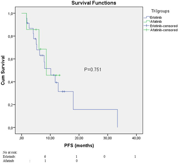 Evaluation of Treatment Efficacy of Tyrosine Kinase Inhibitors in Rare Single EGFR Exon 21 L861Q Mutation: Single Center Experience.