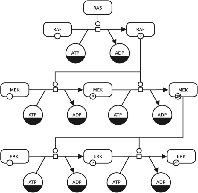 Design X Bioinformatics: a community-driven initiative to connect bioinformatics and design.