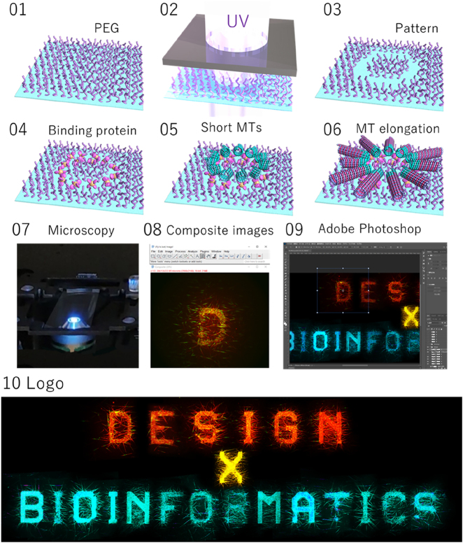 Design X Bioinformatics: a community-driven initiative to connect bioinformatics and design.