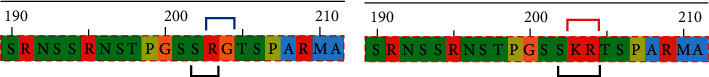 A Unique Trinucleotide-Bloc Mutation-Based Two SARS-CoV-2 Genotypes with Potential Pathogenic Impacts.