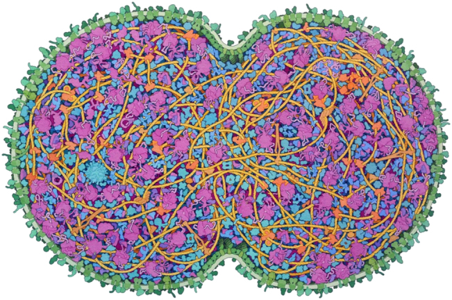 Design X Bioinformatics: a community-driven initiative to connect bioinformatics and design.