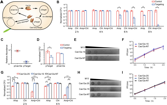 The trans DNA cleavage activity of Cas12a provides no detectable immunity against plasmid or phage.