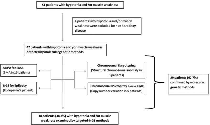 Investigating the Genetic Etiology of Pediatric Patients with Peripheral Hypotonia Using the Next-Generation Sequencing Method.