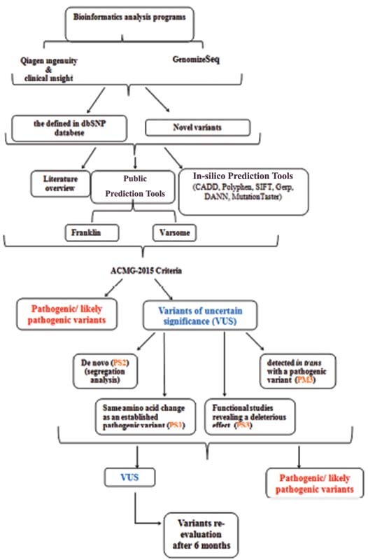 Investigating the Genetic Etiology of Pediatric Patients with Peripheral Hypotonia Using the Next-Generation Sequencing Method.