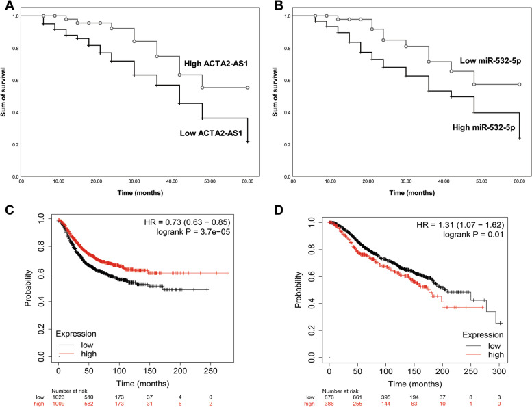 lncRNA ACTA2-AS1 predicts malignancy and poor prognosis of triple-negative breast cancer and regulates tumor progression via modulating miR-532-5p.