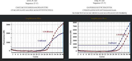 <i>Helicobacter suis</i>-Associated Gastritis Mimicking Conventional <i>H. pylori</i>-Associated Atrophic Gastritis.