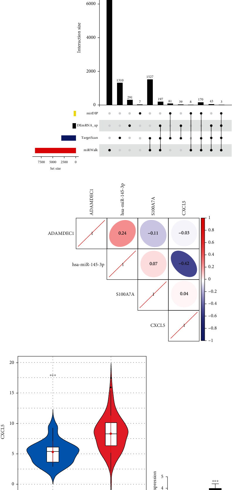 miR-145-3p Hampers the Malignant Progression of Esophageal Carcinoma via CXCL5 Downregulation.