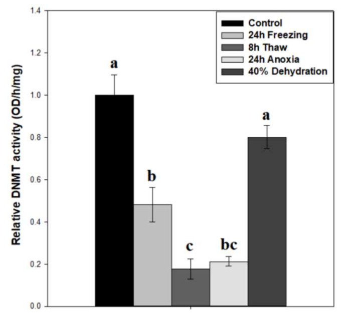 DNA Hypomethylation May Contribute to Metabolic Recovery of Frozen Wood Frog Brains.