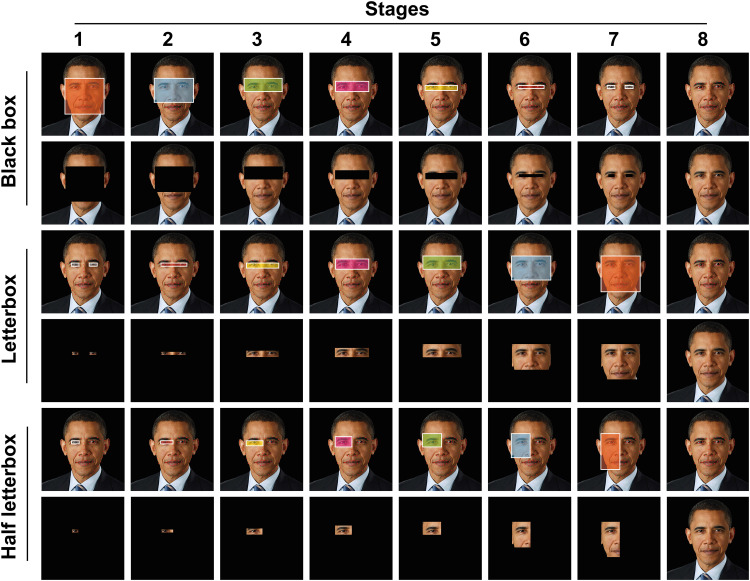 Informed Consent In Facial Photograph Publishing: A Cross-sectional Pilot Study To Determine The Effectiveness Of Deidentification Methods.