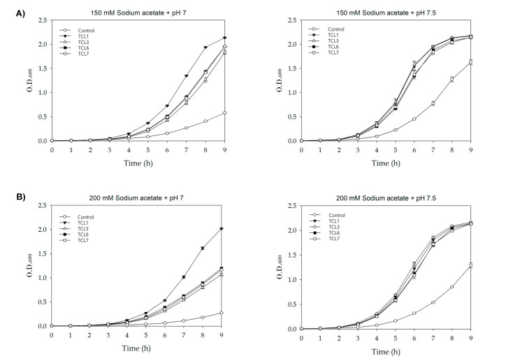 Enhanced Acetate Tolerance and Recombinant Protein Accumulation in <i>Escherichia coli</i> by Transgenic Expression of a Heat Shock Protein from Carrot (<i>Daucus carota</i> L.).