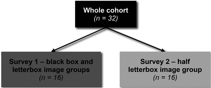 Informed Consent In Facial Photograph Publishing: A Cross-sectional Pilot Study To Determine The Effectiveness Of Deidentification Methods.