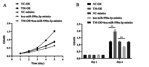 MiR-550a-3p restores damaged vascular smooth muscle cells by inhibiting thrombomodulin in an <em>in vitro</em> atherosclerosis model.