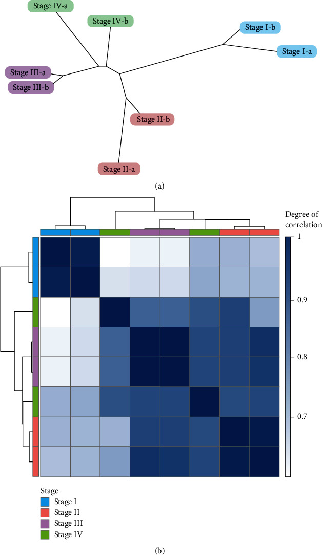 Weighted Gene Correlation Network Analysis (WGCNA) of <i>Arabidopsis</i> Somatic Embryogenesis (SE) and Identification of Key Gene Modules to Uncover SE-Associated Hub Genes.