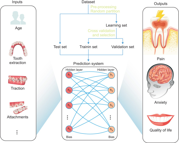 Predicting patient experience of Invisalign treatment: An analysis using artificial neural network.