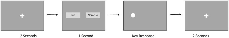 Direct and Indirect Measures of Attention Indicating a Bias Toward Cues in Methamphetamine Users.