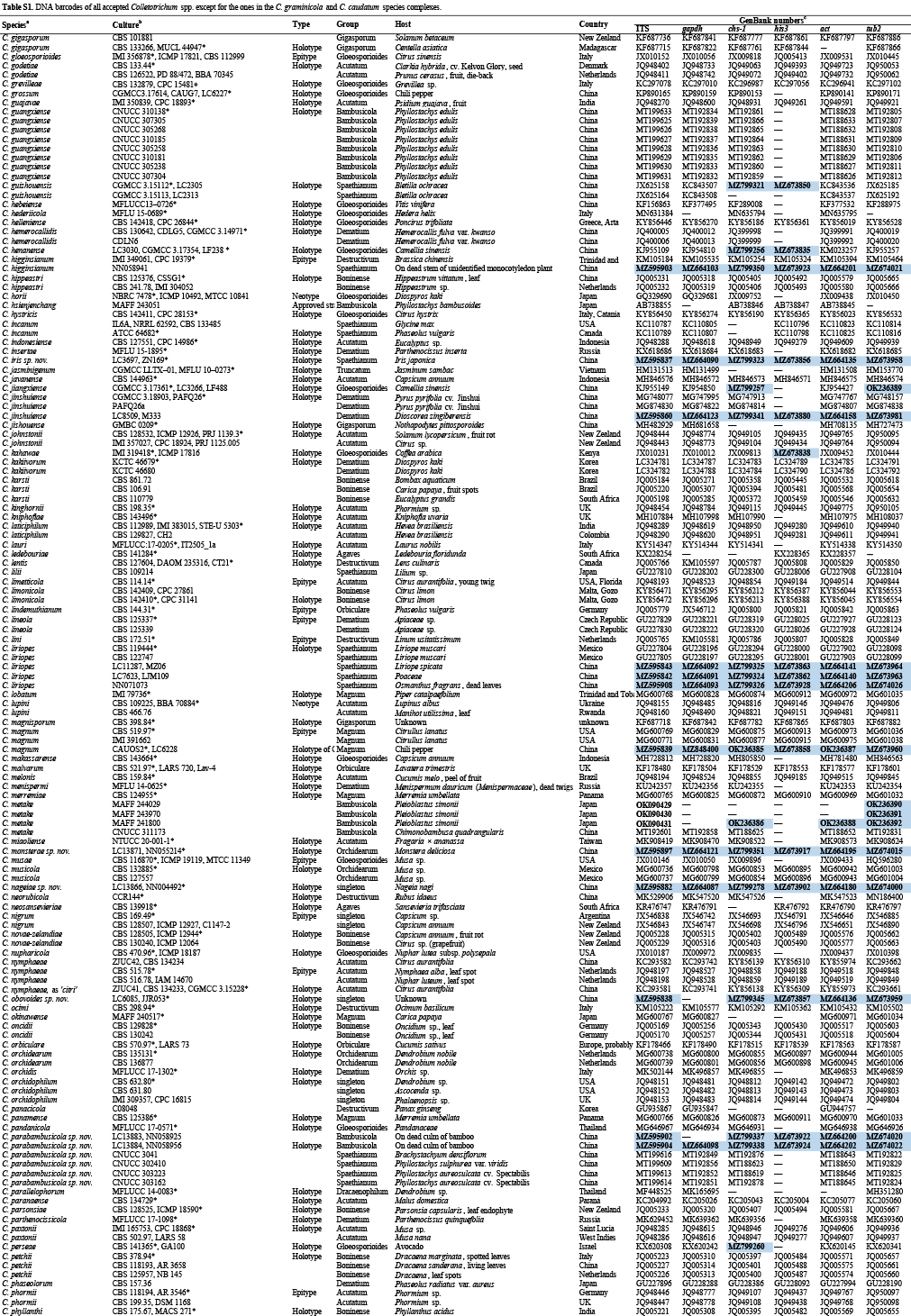 Updating species diversity of <i>Colletotrichum</i>, with a phylogenomic overview.