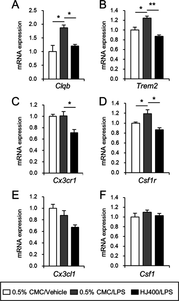 Humulus japonicus attenuates LPS-and scopolamine-induced cognitive impairment in mice.