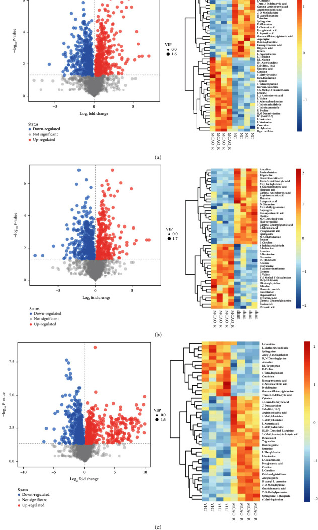 Metabolomics-Based Pharmacodynamic Analysis of Zhuang Yao Shuang Lu Tong Nao Granules in a Rat Model of Ischemic Cerebral Infarction.