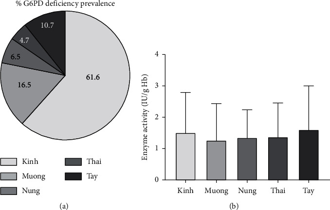 Molecular Characterization and Genotype-Phenotype Correlation of G6PD Mutations in Five Ethnicities of Northern Vietnam.