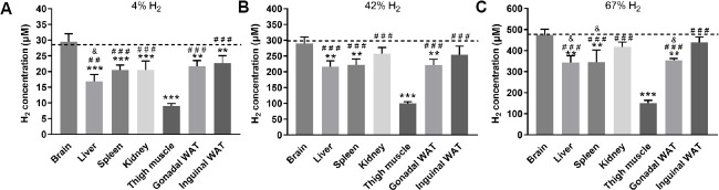 <i>In vivo</i> microelectrode monitoring of real-time hydrogen concentration in different tissues of rats after inhaling hydrogen gas.