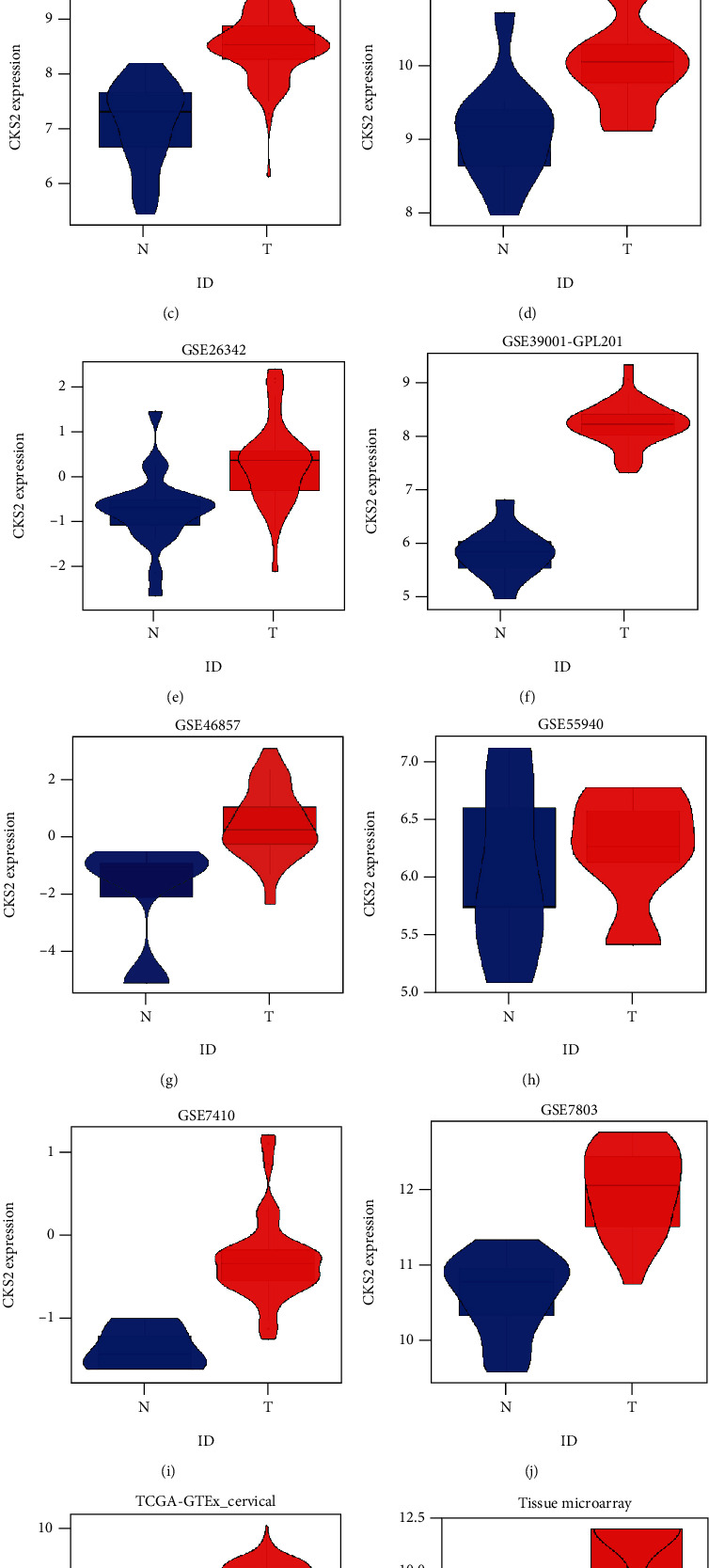 Comprehensive Expression Profiling and Molecular Basis of CDC28 Protein Kinase Regulatory Subunit 2 in Cervical Cancer.