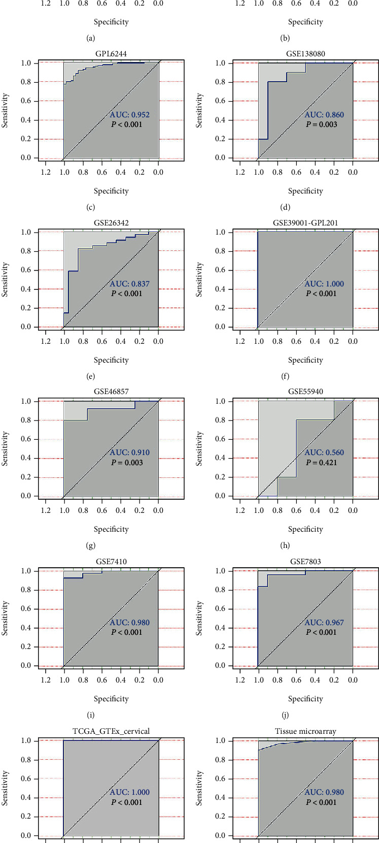 Comprehensive Expression Profiling and Molecular Basis of CDC28 Protein Kinase Regulatory Subunit 2 in Cervical Cancer.