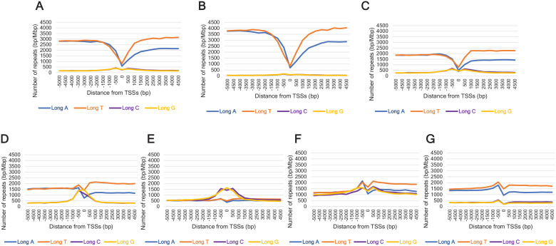 Mononucleotide A-repeats may Play a Regulatory Role in Endothermic Housekeeping Genes.