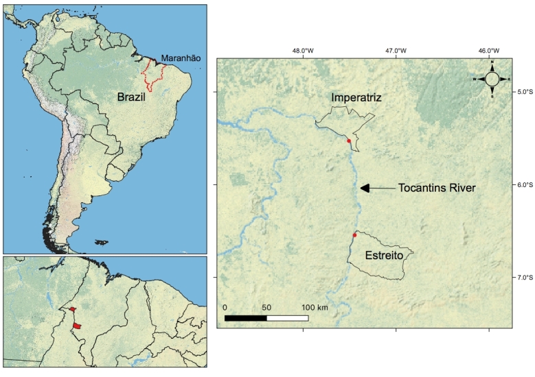 Diversity of Nematoda and Digenea from different species of characiform fishes from Tocantins River, Maranhão, Brazil.