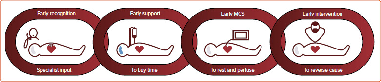 Intensive Care Management of the Cardiogenic Shock Patient.