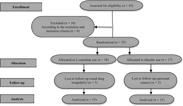 Assessment of L-carnitine effectiveness on carpal tunnel syndrome.