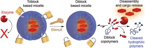 Stimuli-Induced Architectural Transition as a Tool for Controlling the Enzymatic Degradability of Polymeric Micelles