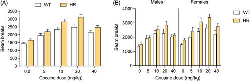 Reelin deficiency exacerbates cocaine-induced hyperlocomotion by enhancing neuronal activity in the dorsomedial striatum