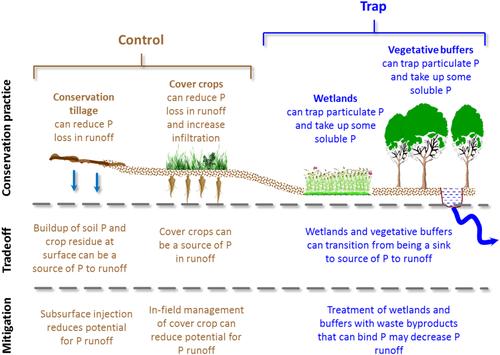 Addressing conservation practice limitations and trade-offs for reducing phosphorus loss from agricultural fields