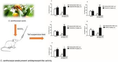 Antidepressant-like effect of Campomanesia xanthocarpa seeds in mice: Involvement of the monoaminergic system