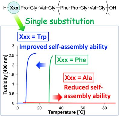 Flexible customization of the self-assembling abilities of short elastin-like peptide Fn analogs by substituting N-terminal amino acids