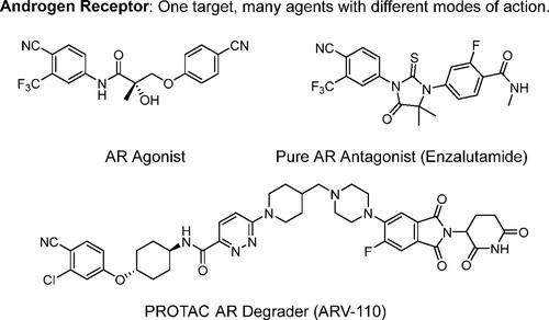 Therapeutic Strategies to Target the Androgen Receptor