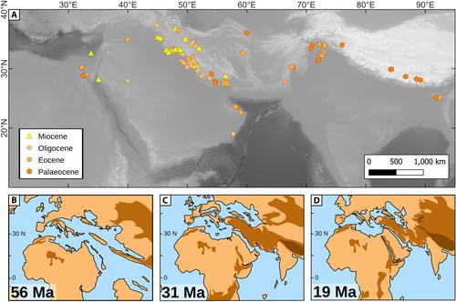 Palaeocene to Miocene southern Tethyan carbonate factories: A meta-analysis of the successions of South-western and Western Central Asia