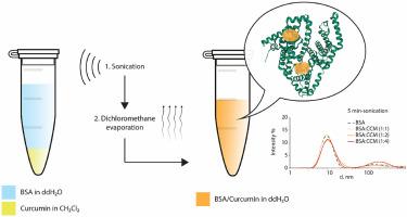 Inducing the formation of a colloidal albumin carrier of curcumin