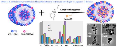 Investigations on the role of ionic liquid on the physicochemical characteristics and toxicological consequences of liposomes