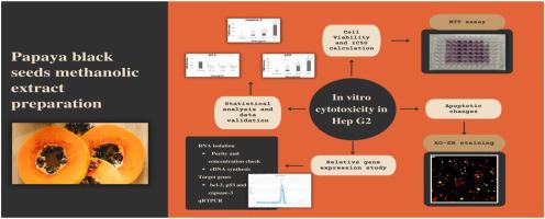 In vitro anticancer activity of “Methanolic extract of papaya blackseeds” (MPB) in Hep G2 cell lines and its effect in the regulation of bcl-2, caspase-3 and p53 gene expression