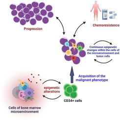 Relation between tumor micro-environment and epigenetic alterations in hematological malignancies