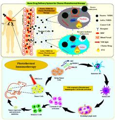 Synergistic anti-cancer effects of NIR-light responsive nanotherapeutics for chemo-photothermal therapy and photothermal immunotherapy: A combined therapeutic approach