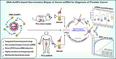 DNA-gold nanoprobe-based integrated biosensing technology for non-invasive liquid biopsy of serum miRNA: A new frontier in prostate cancer diagnosis