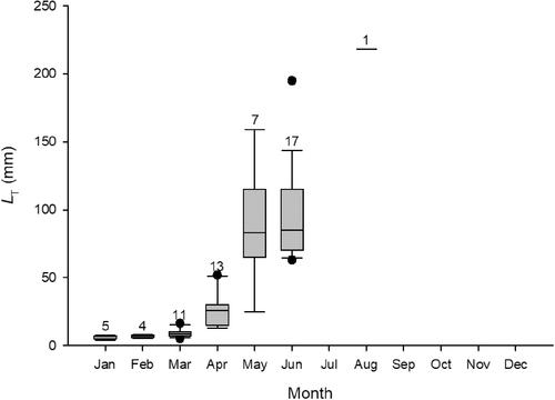 Reproductive Biology of the Pacific Spadenose Shark Scoliodon Macrorhynchos, a Heavily Exploited Species in the Southern Taiwan Strait